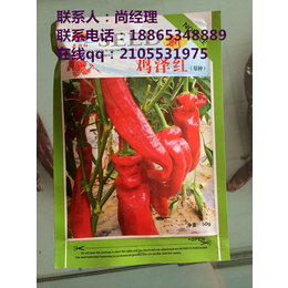 英潮红6号辣椒种子价格,陕西辣椒种子,农瑞丰
