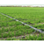 安徽灌溉设备|农田灌溉设备|安徽安维(****商家)缩略图1