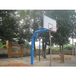 儿童篮球架、银芝体育(在线咨询)、宁波篮球架