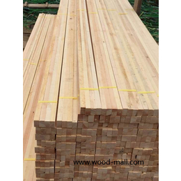 太仓桂邦木材铁杉木方质量好价格优惠