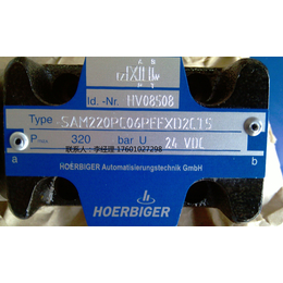 HERIONBIGER电磁阀SAM220PC06P