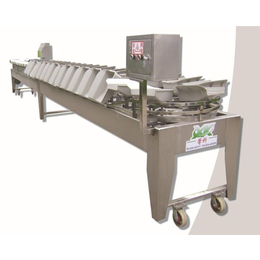 台儿庄蔬菜分级机,馨科机械*,蔬菜分级机供应商