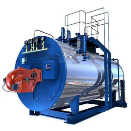 燃气锅炉制造厂|施安(在线咨询)|厂家生产燃气锅炉