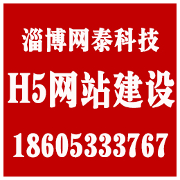 张店H5网站建设价格|淄博网泰科技|张店H5网站建设