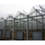 玻璃温室大棚厂家,益兴诚钢构温室工程,忻州玻璃温室大棚缩略图1