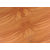 地热木地板多少钱、地热木地板、巴菲克木业缩略图1