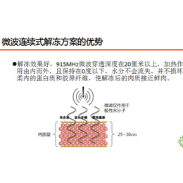 工业微波化冻机厂家、工业微波化冻机、山东科弘微波技术标准