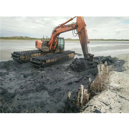 淤泥租水陆挖机,湖北军利机械(在线咨询),租水陆挖机