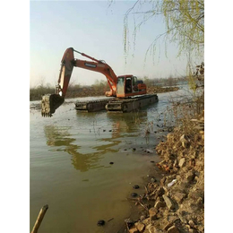 沼泽作业租水陆挖机|湖北军利机械(在线咨询)|租水陆挖机