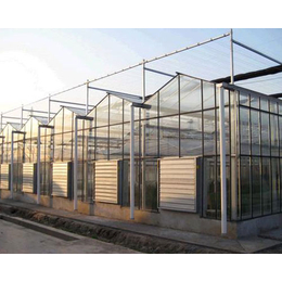 草莓玻璃温室大棚_临汾玻璃温室大棚_益兴诚钢构工程公司