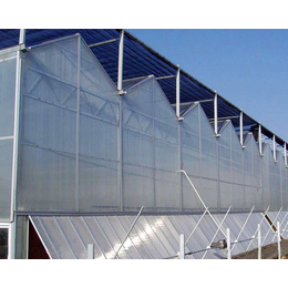 益兴诚钢构温室工程(图)、阳光板温室搭建、晋城阳光板温室