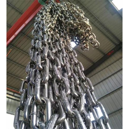 泰安鑫洲机械公司(图),不锈钢链条定做厂家,大连不锈钢链条