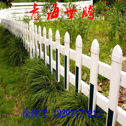 青海市政绿化带护栏 草坪围栏厂家