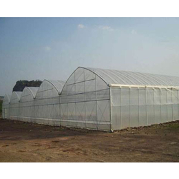 蔬菜温室大棚、安徽温室大棚、合肥小农人大棚厂家