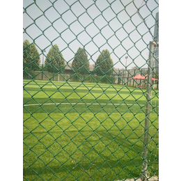 苏州学校球场围网价格|足球场围网厂家
