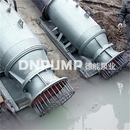 潜水贯流泵售后保障、天津潜水贯流泵、天津德能泵业有限公司