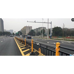 市政护栏公司,安庆市政护栏,合肥特宇护栏(查看)