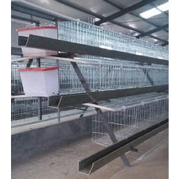 良丰畜牧机械(图)|阶梯式鸡笼制造厂|阶梯式鸡笼
