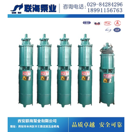 西安潜水泵销售_山西解州水泵陕西*(在线咨询)_潜水泵销售