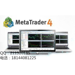 MT4平台出租MT4软件出售
