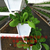 厂家*草莓立体种植槽 温室大棚种植槽 *缩略图2