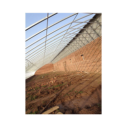 日光温室种植|腾达农业(在线咨询)|河南日光温室