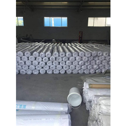 PVC防水卷材厂家,河南PVC防水卷材,金航宇防水材料