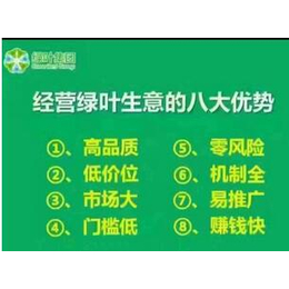 苏州绿叶集团公司加盟模式
