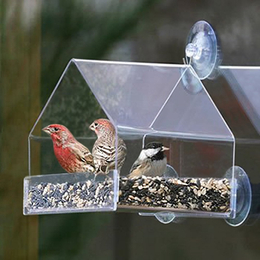七彩云有机玻璃简约喂鸟器户外投食箱透明鸟笼宠物箱缩略图