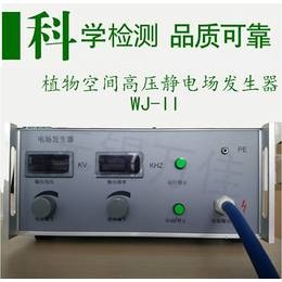 江苏静电场海南高压静电场发生器北京静电场WJ-II