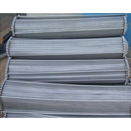 扬州链寶泉(图),不锈钢网带设备,不锈钢网带