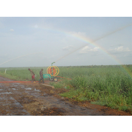 甘蔗灌溉机供应、中热农业机械、梧州甘蔗灌溉