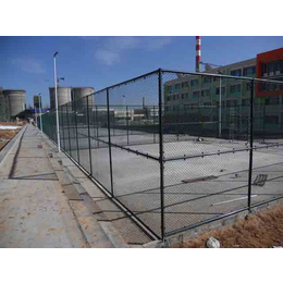 篮球场围栏厂家*,广安篮球场围栏,威友丝网(图)