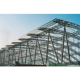 二手钢结构厂房出售,民生二手钢结构(在线咨询),枣庄钢结构