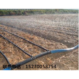 智能灌溉系统 温室工程 河北其实科技公司缩略图