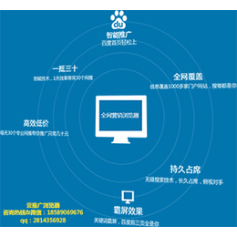 传统企业进入互联网如何盈利找深圳拉米拉公司缩略图