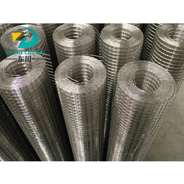 304不锈钢电焊网,东川丝网(在线咨询),不锈钢电焊网