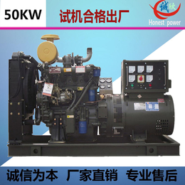 医院用50KW纯铜电机柴油发电机组*