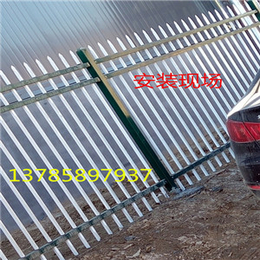 锌钢防护围栏网生产地商|锌钢防护围栏网|晟卿丝网
