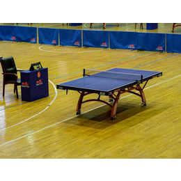 乒乓球木地板特点,唐山乒乓球木地板,睿聪体育设施(查看)