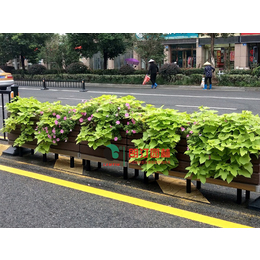 道路*隔离护栏花箱 *隔离带景观绿化 朗汀集团缩略图