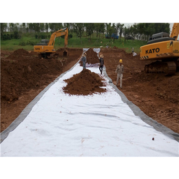 唐能工程-水库膨润土防水毯-水库膨润土防水毯厂家
