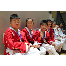 儿童跆拳道培训|兰林跆拳道(在线咨询)|跆拳道培训