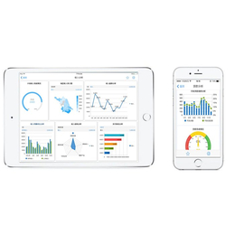 图形报表工具|诚佰网络(在线咨询)|襄阳报表