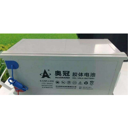 电动车锂电池生产厂家|上海电动车锂电池|奥冠新能源品质保障