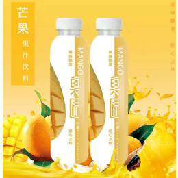 杭州超市加盟芒果果汁饮料500ml