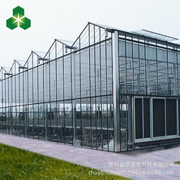 高质量的 智能钢化玻璃温室 厂家价格销售缩略图