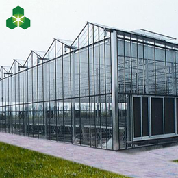 温室大棚 钢化玻璃温室大棚  玻璃温室 厂家缩略图