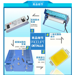 灯港照明-高速隧道灯-百色隧道灯