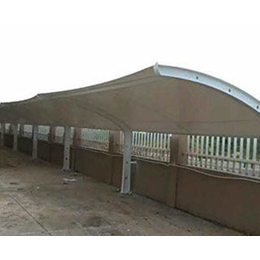 合肥恒硕钢结构厂家-轻钢结构玻璃雨棚-合肥钢结构玻璃雨棚